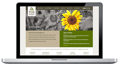 peak-financial-website