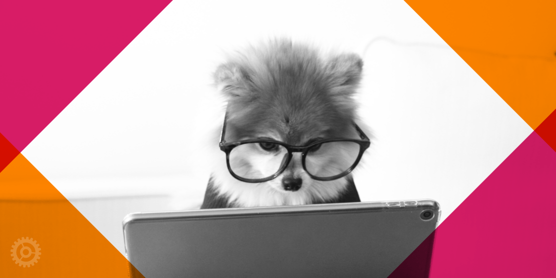 Dog with glasses looking at a laptop