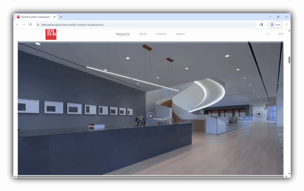 Hok project page with video