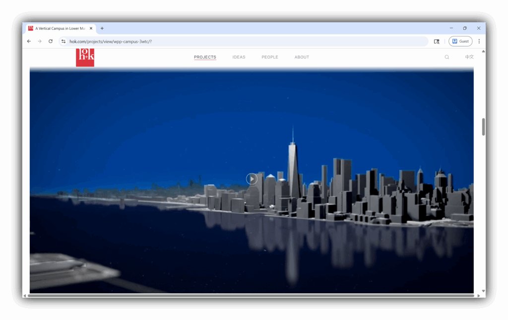Hok project page with video