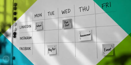 Keep Your Feed Fresh: What to Post and How Often